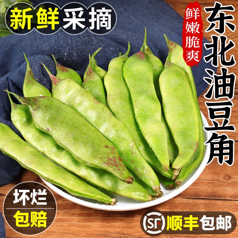 东北油豆角新鲜蔬菜当季农家自种九月青大宽豆角脆甜豆角顺丰包邮 - 实物图