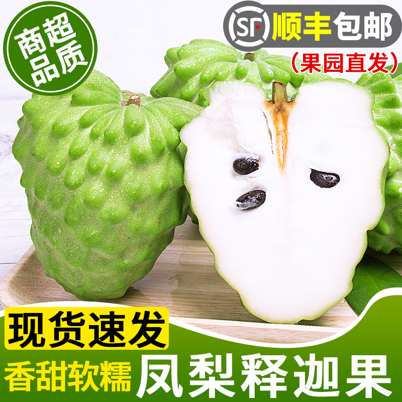 【顺丰速发】凤梨释迦果！精选！