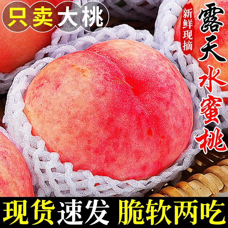露天水蜜桃新鲜毛桃子水果应当季现摘脆甜春雪蜜桃大桃子时令整箱