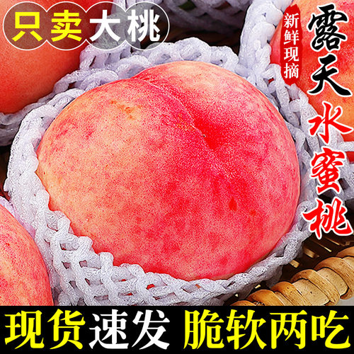 【热卖】露天水蜜桃！精选品质！