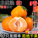 顺丰正宗四川春见耙耙柑新鲜橘子当季 水果现摘丑粑粑柑丑柑桔大果