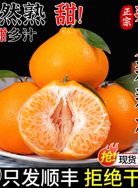 顺丰正宗四川春见耙耙柑新鲜橘子当季水果现摘丑粑粑柑丑柑桔大果
