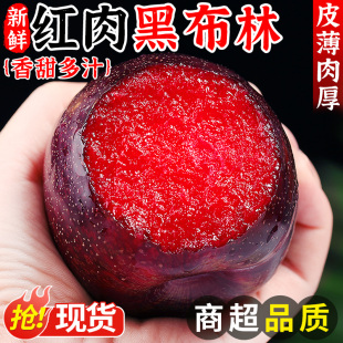 红肉黑布林李子新鲜应当季水果现摘红心李子黑布林红肉恐龙蛋大果