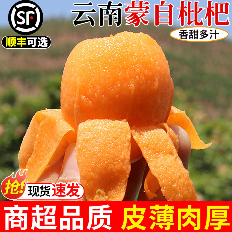 正宗云南蒙自甜枇杷新鲜水果当季现摘长虹琵琶枇杷树上熟整箱包邮