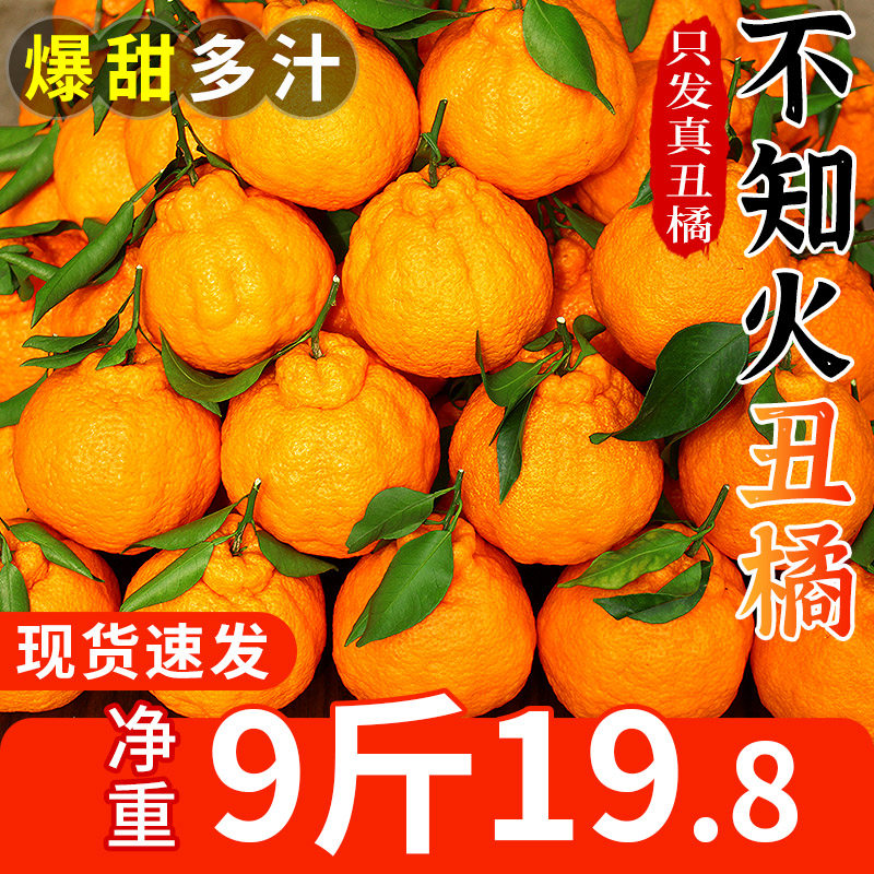 四川不知火丑橘10斤新鲜水果应当季耙耙粑粑桔子丑柑橘子整箱包邮