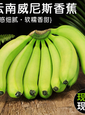 云南威尼斯香蕉5斤新鲜高山青皮甜香蕉水果自然熟大芭蕉整箱包邮3