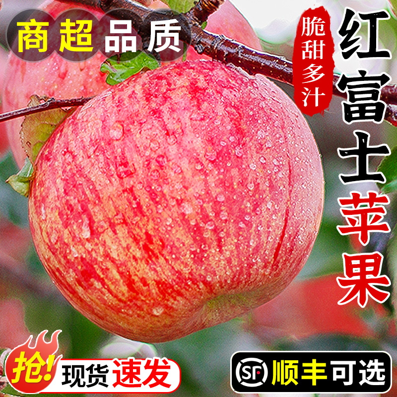 正宗山西红富士苹果应当季冰糖心栖霞脆甜丑嘎啦平果新鲜水果整箱