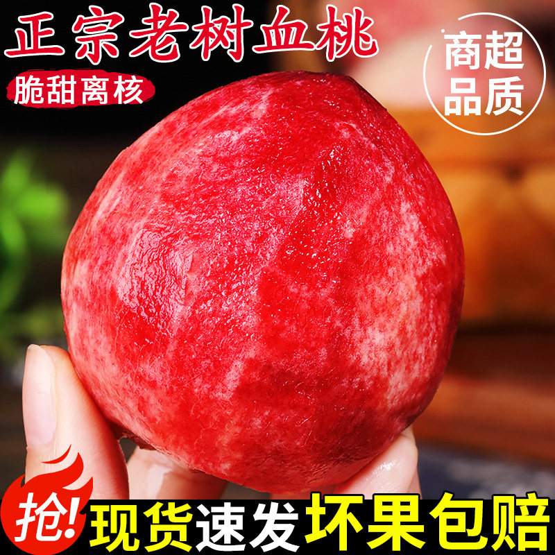【精选品质】老树血桃！脆甜多汁