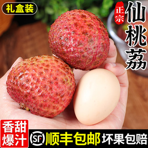 果园现摘丨仙桃荔枝王丨甜蜜多汁