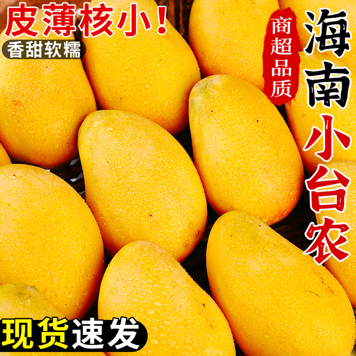 果园现摘!小台农芒果!香甜多汁