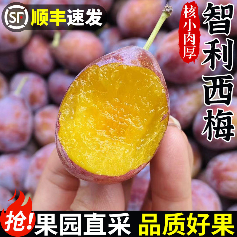 顺丰智利西梅新鲜水果5斤装法兰西脆甜李子大果当季整箱现摘现发