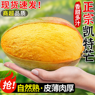 正宗凯特芒新鲜芒果大果青皮澳芒当季现摘甜心芒特产热带水果整箱