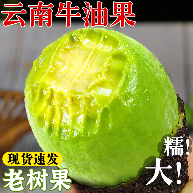 云南牛油果新鲜大果应当季现摘国产即食鳄梨哈斯辅食水果孕妇整箱