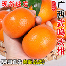 正宗广西武鸣沃柑新鲜橘子水果当季 一级沙糖蜜橘砂糖柑橘大果整箱