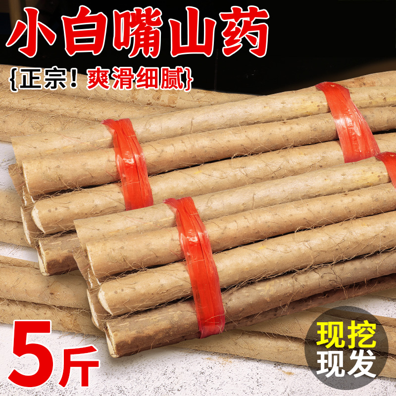小白嘴山药当季农家蔬菜5斤铁杆淮山药新鲜现挖铁棍山药整箱包邮