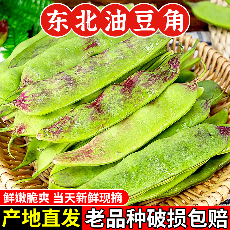东北油豆角5斤新鲜蔬菜当季农家自种九月青大宽豆角脆甜豆角包邮3