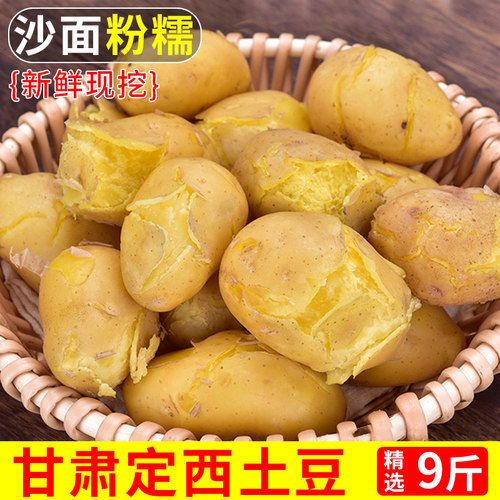 现挖！甘肃定西土豆！粉糯香甜