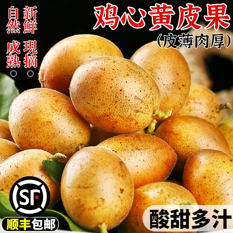 顺丰广东鸡心黄皮果5斤当季新鲜水果现摘酸甜黄弹冰糖黄皮果特产3