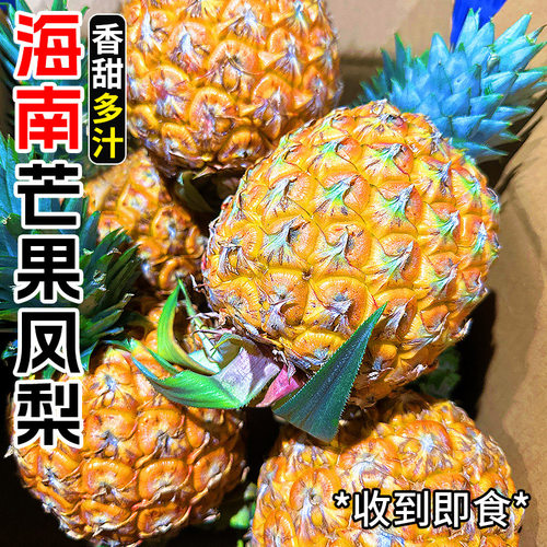 【海南芒果凤梨】香甜多汁！