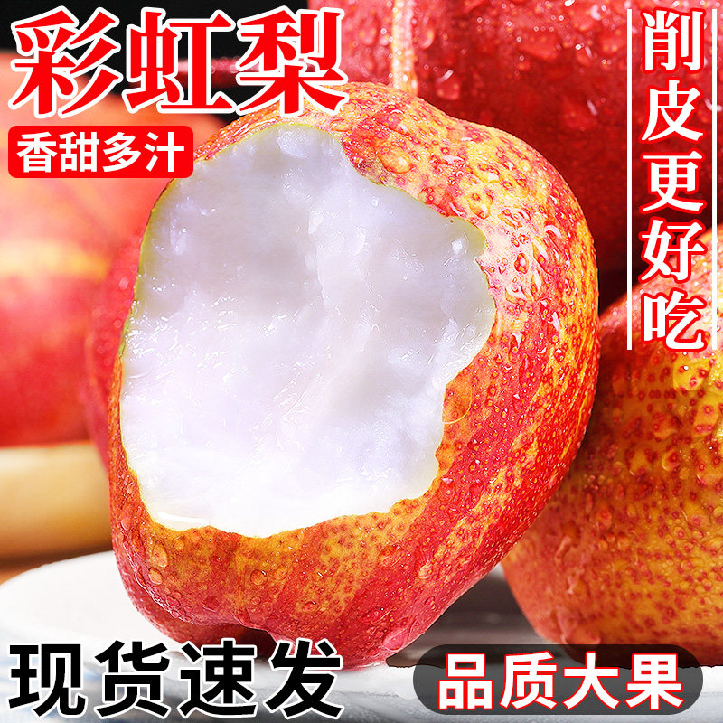 香甜多汁!陕西彩虹梨!现摘现发