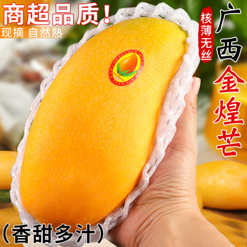 【自然熟】广西金煌芒！皮薄肉厚