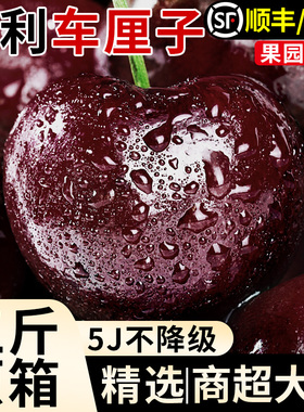 车厘子新鲜水果智利进口3j5斤原箱礼盒现摘5j大樱桃4j官方旗舰店