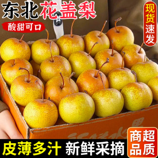 正宗东北花盖梨新鲜水果现摘蜜梨软梨子可做冻梨鞍山特产整箱包邮