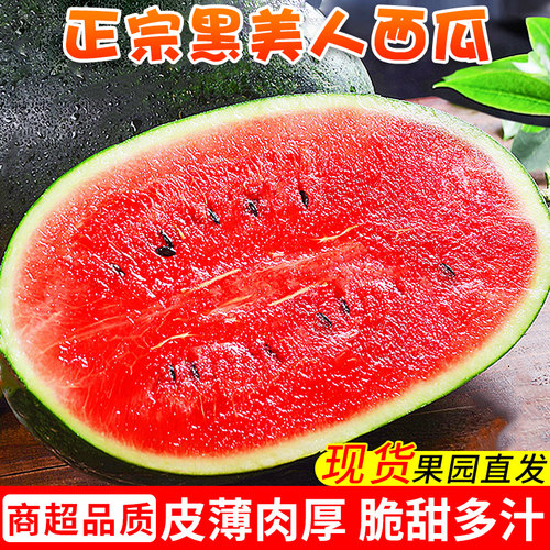 脆甜！新鲜黑美人西瓜！个大饱满