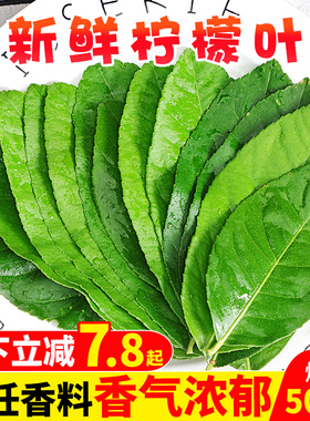新鲜柠檬叶青柠叶500g烹饪香料西餐料理冬阴功汤原料火锅配料包邮
