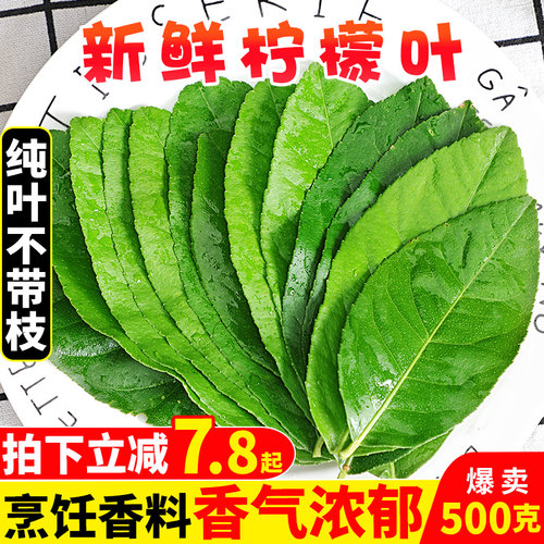 新鲜柠檬叶食用佐料冬阴功原料
