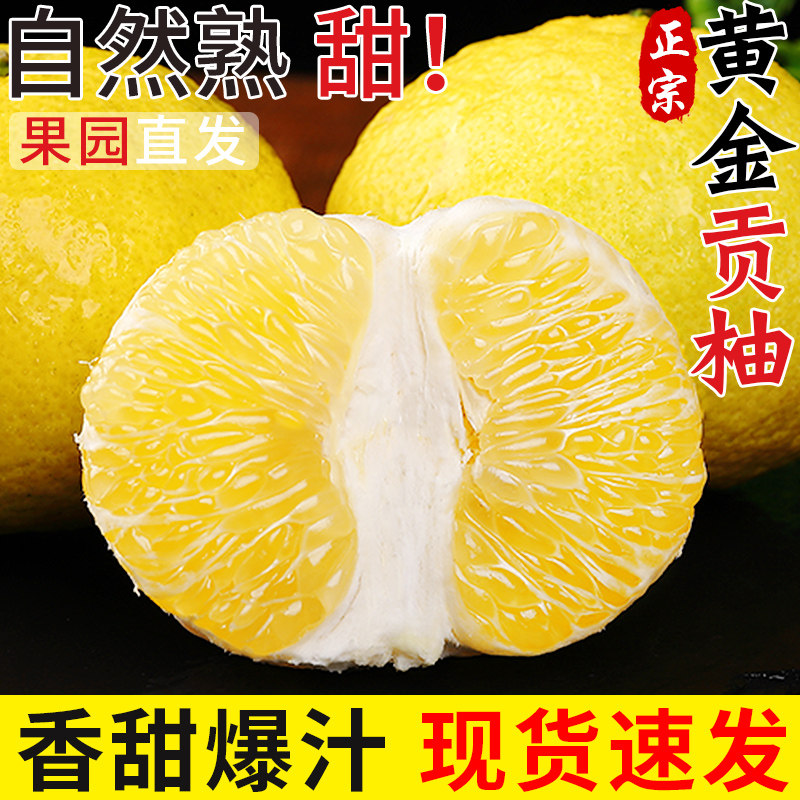 正宗湖南黄金贡柚新鲜水果当季黄肉蜜柚文旦甜西柚子大果整箱包邮