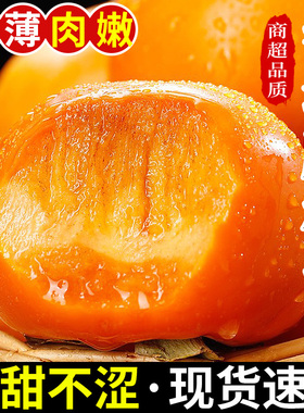广西恭城脆柿子新鲜水果当季正宗脆甜硬柿子当季黄甜柿子火晶包邮