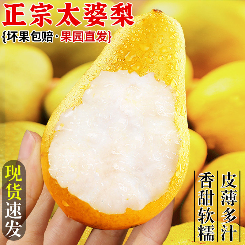烟台太婆梨!冰淇淋口感!现摘