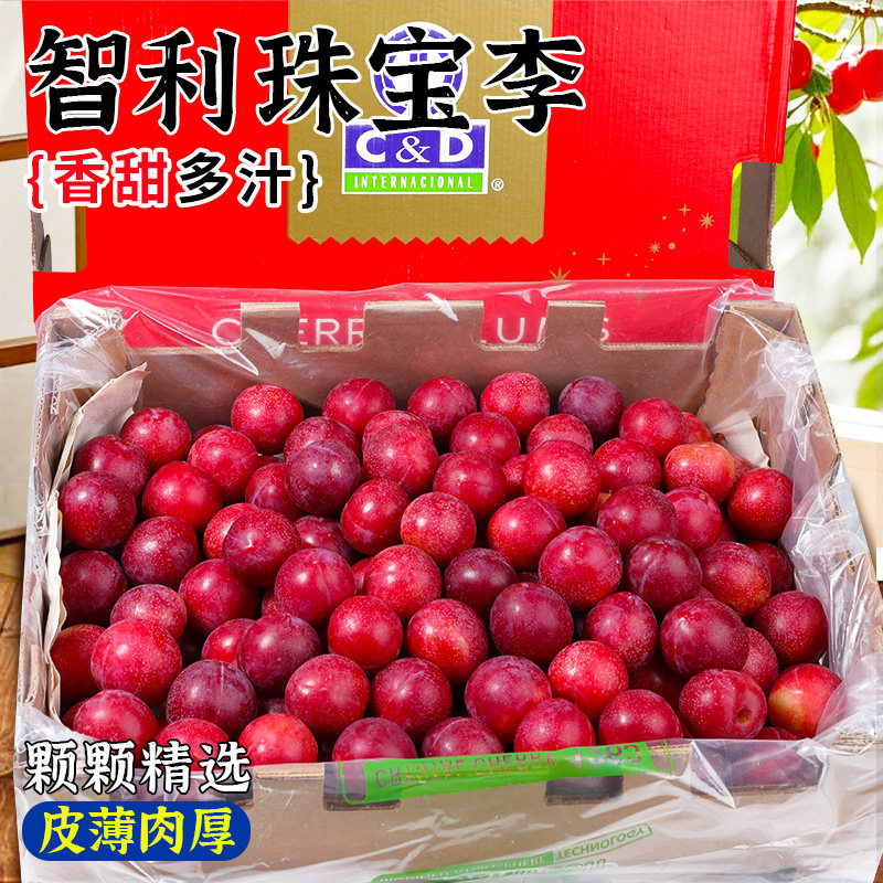 正宗智利珠宝李樱桃李子5斤新鲜水果当季进口西梅鲜果恐龙蛋包邮3