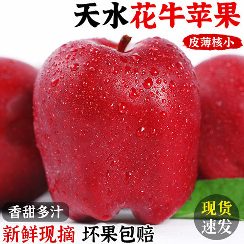 宝宝辅食!天水花牛苹果!粉糯香甜