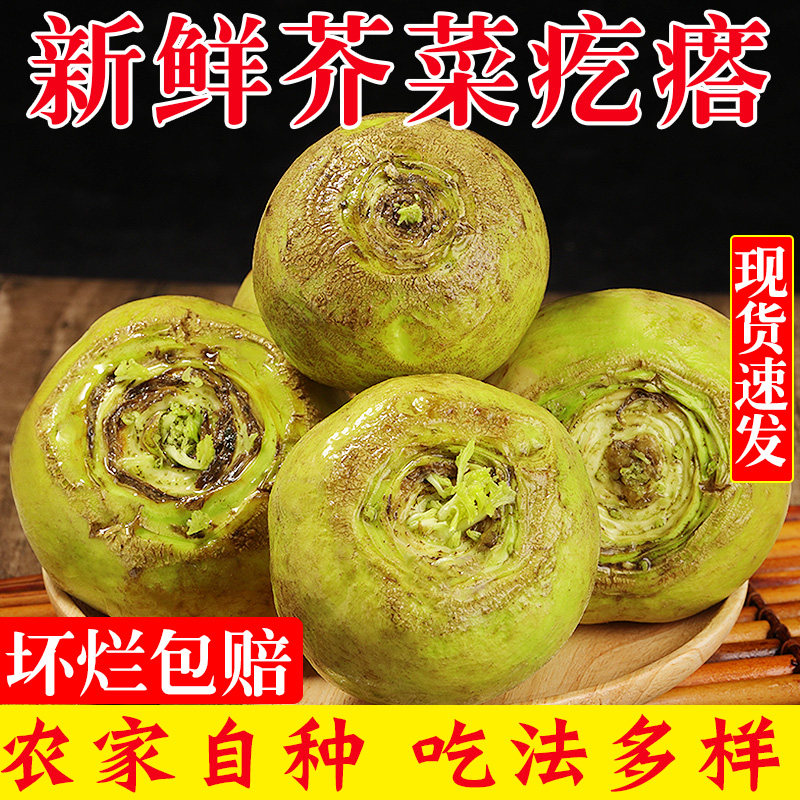 现挖大头芥菜疙瘩新鲜蔬菜大头菜咸菜下饭芥菜丝辣菜酱农家自种10,水产肉类/新鲜蔬果/熟食,其它,淘宝优惠券,粉丝福利购,淘宝优惠卷