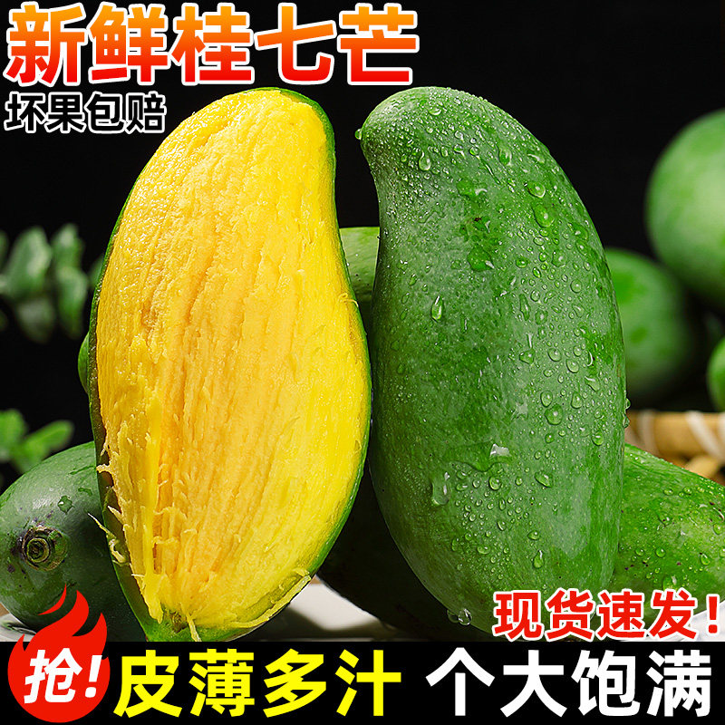 广西特产丨正宗桂七芒果丨树上熟