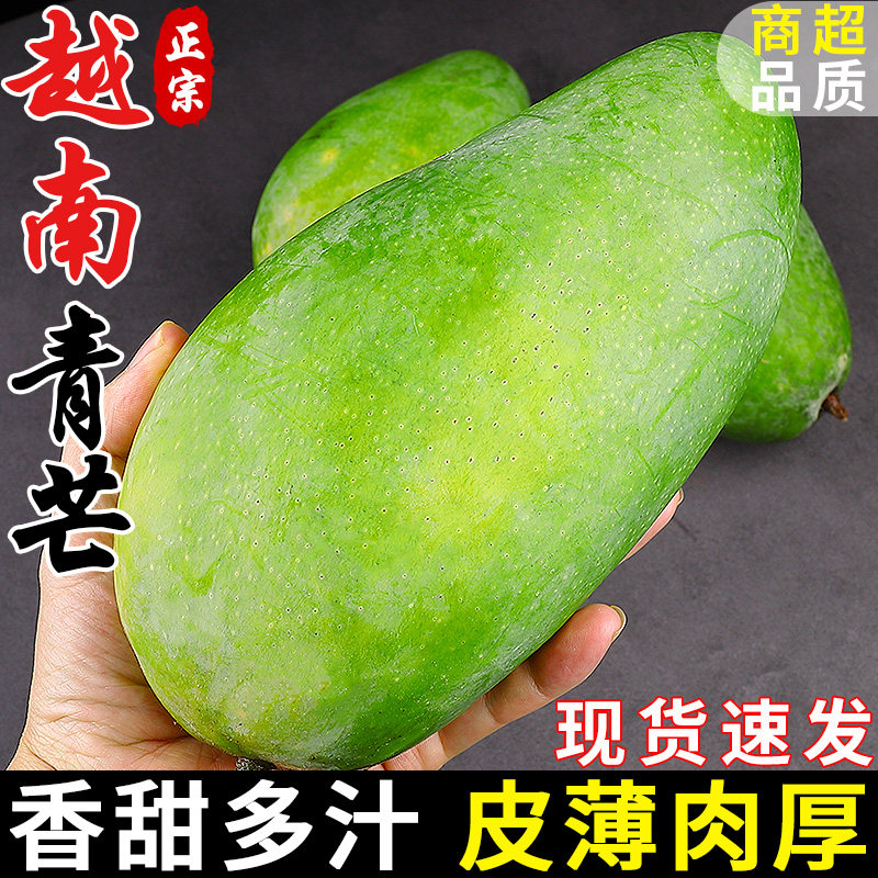 越南大青芒当季整箱热带水果新鲜现摘正宗青皮金煌甜心芒大果包邮