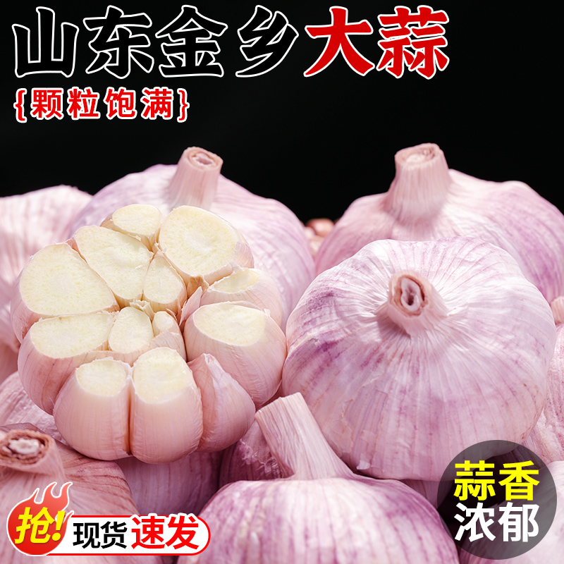 农家自种！山东金乡大蒜！现挖