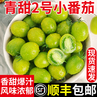 正宗青甜2号小番茄新鲜现摘现发当季 水果即食青口西红柿蔬菜顺丰