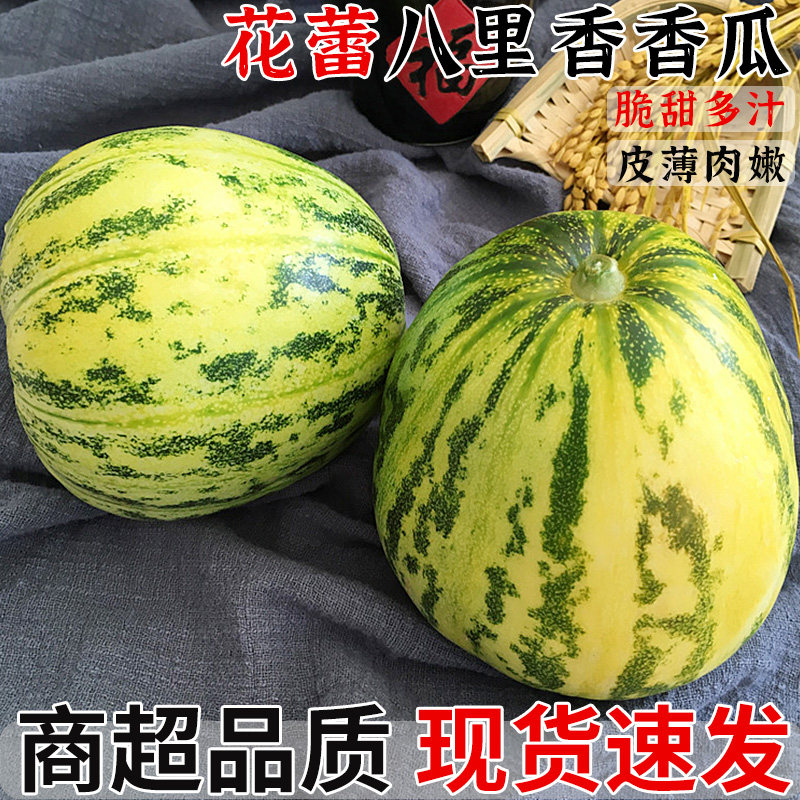 花蕾八里香香瓜5斤甜瓜新鲜水果应季脆甜蜜瓜花姑娘白糖罐瓜现摘3