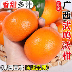 正宗广西武鸣沃柑新鲜橘子水果当季一级沙糖蜜橘砂糖柑橘大果整箱