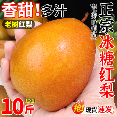 热卖丨正宗冰糖红梨丨熬水止咳