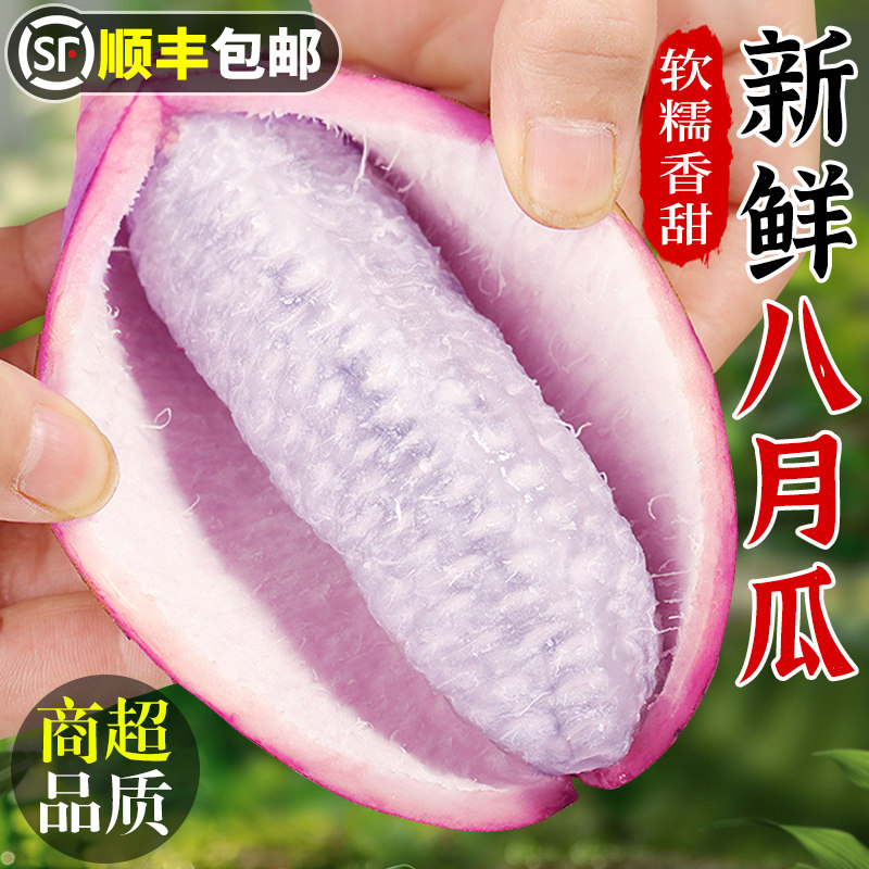 【珍稀水果】现摘!新鲜八月瓜!