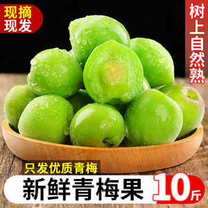 新鲜青梅鲜果10斤当季现摘高山青皮梅子泡酒专用生酸脆梅水果包邮