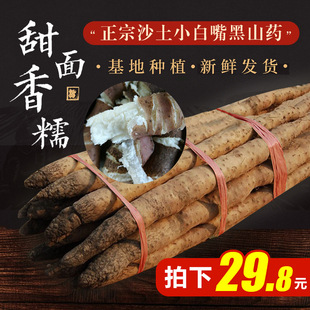 野生正宗小白嘴黑山药河北新鲜比垆土铁棍铁杆淮山药好吃5斤现挖