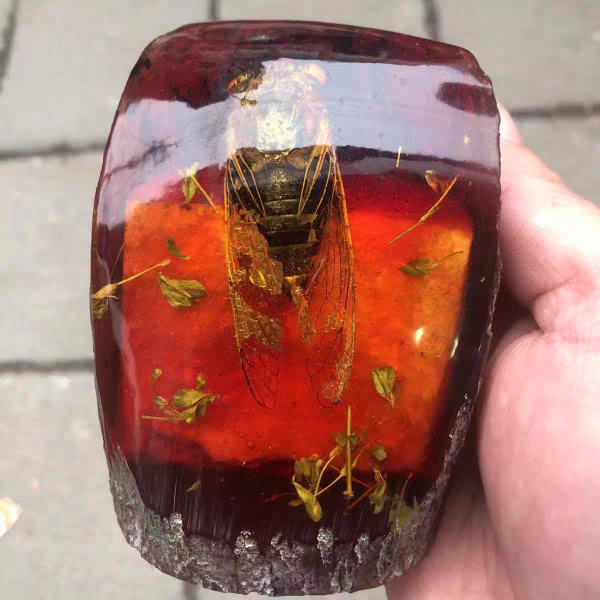 古玩工艺品树脂琥珀虫子蝎子知了螃蟹蝴蝶昆虫标本树桩装饰品摆件