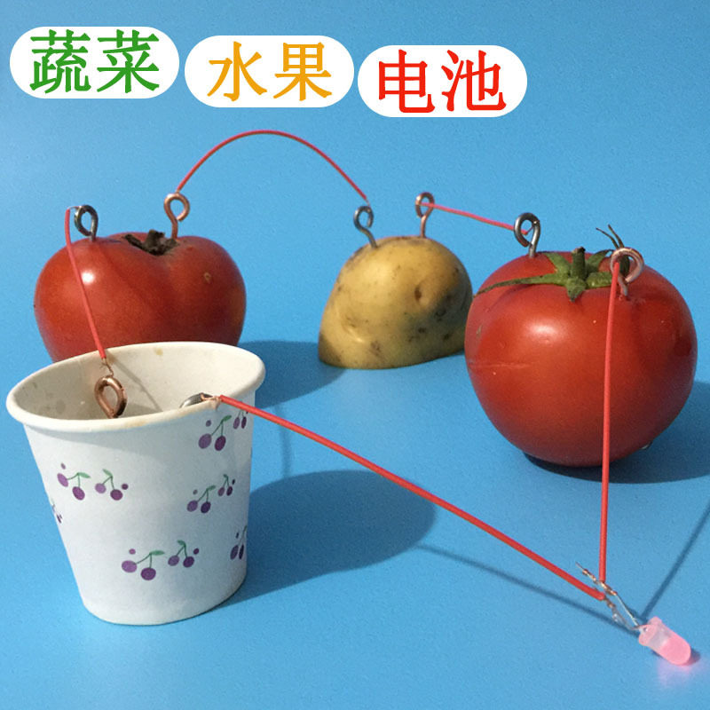 包邮水果电池土豆发电科技小制作发明科学实验儿童幼儿园创意diy