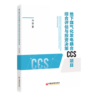地下煤气化发电耦合CCS项目综合评估与投资决策9787513677653