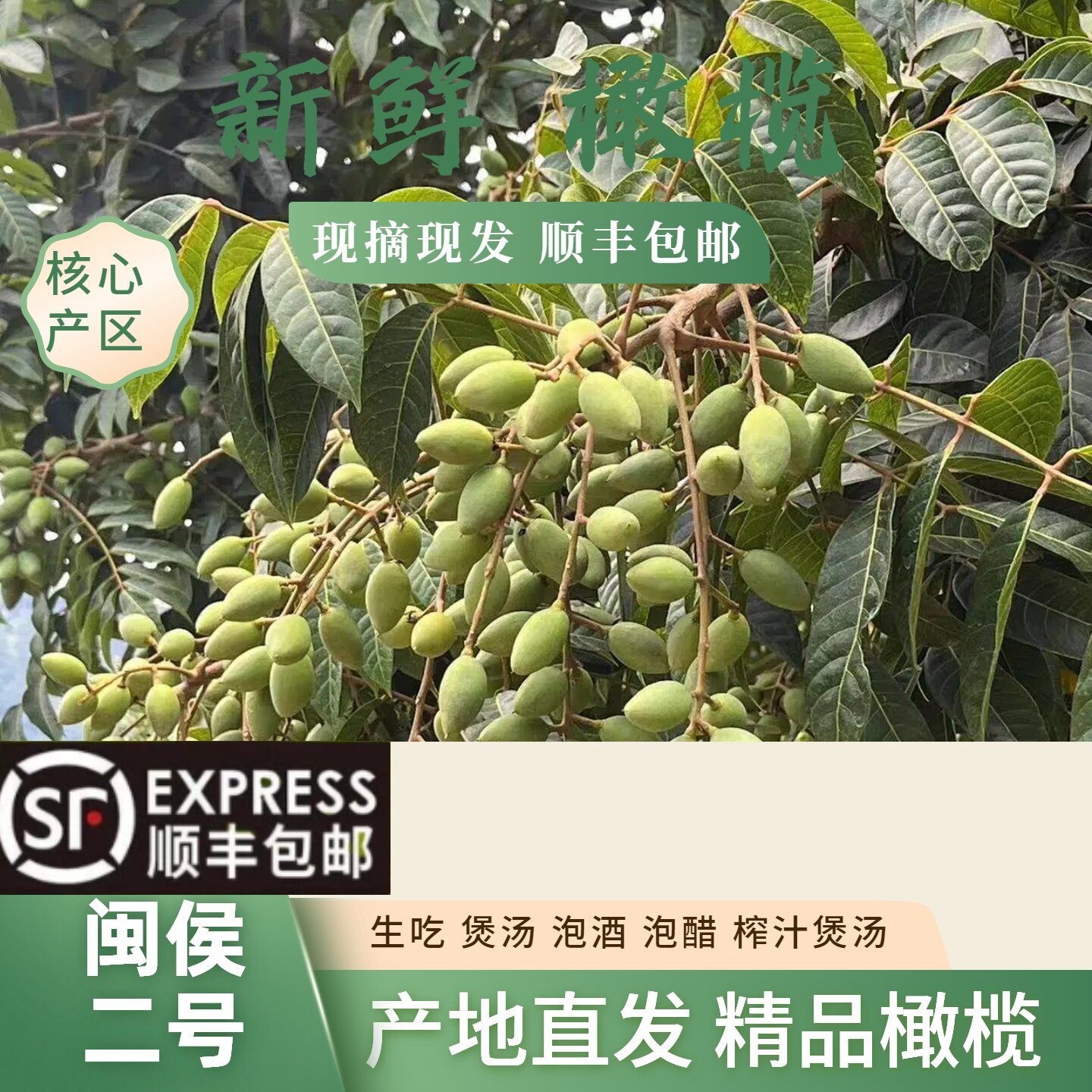 顺丰新鲜橄榄果生孕妇煲汤包邮